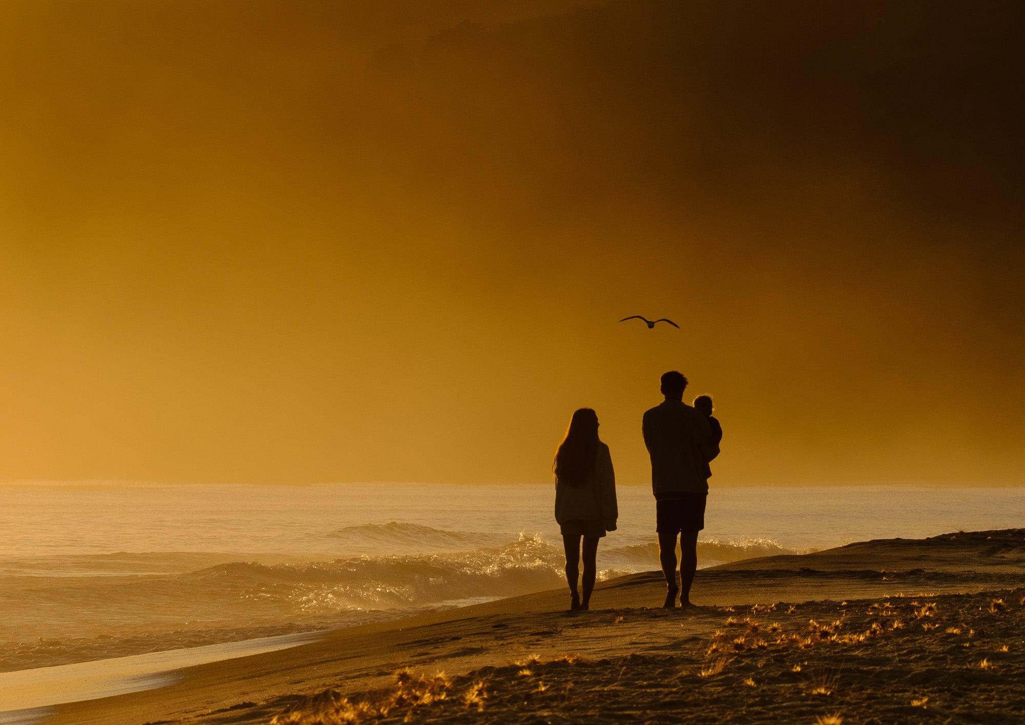 Before the Day, Pakiri