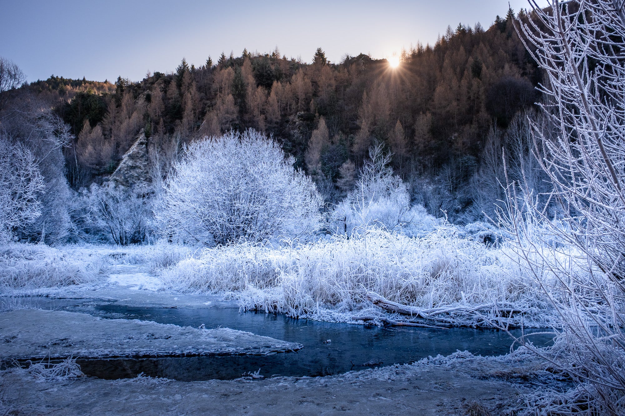 Hoar Frost, Arrowtown