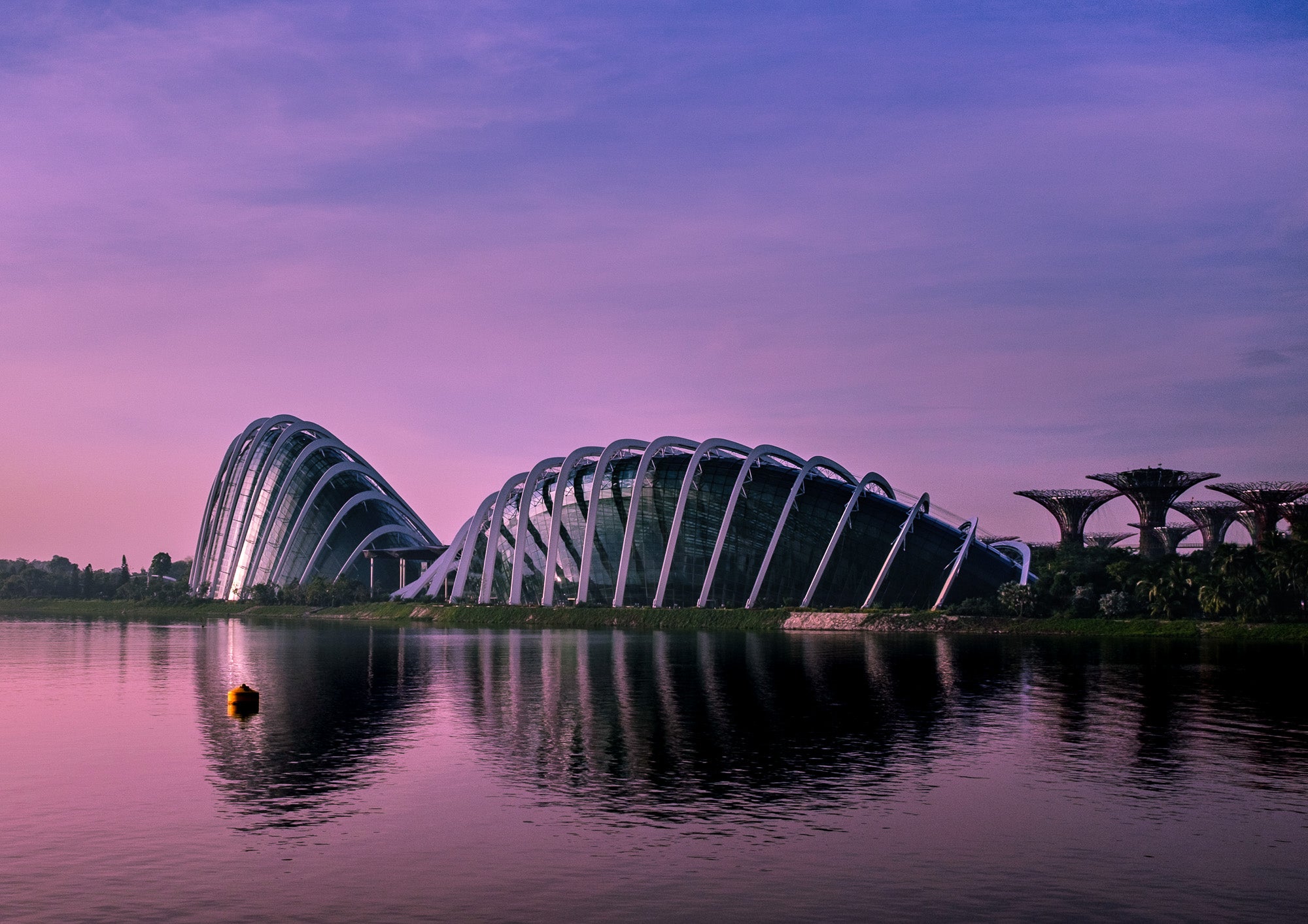 First Light, Singapore