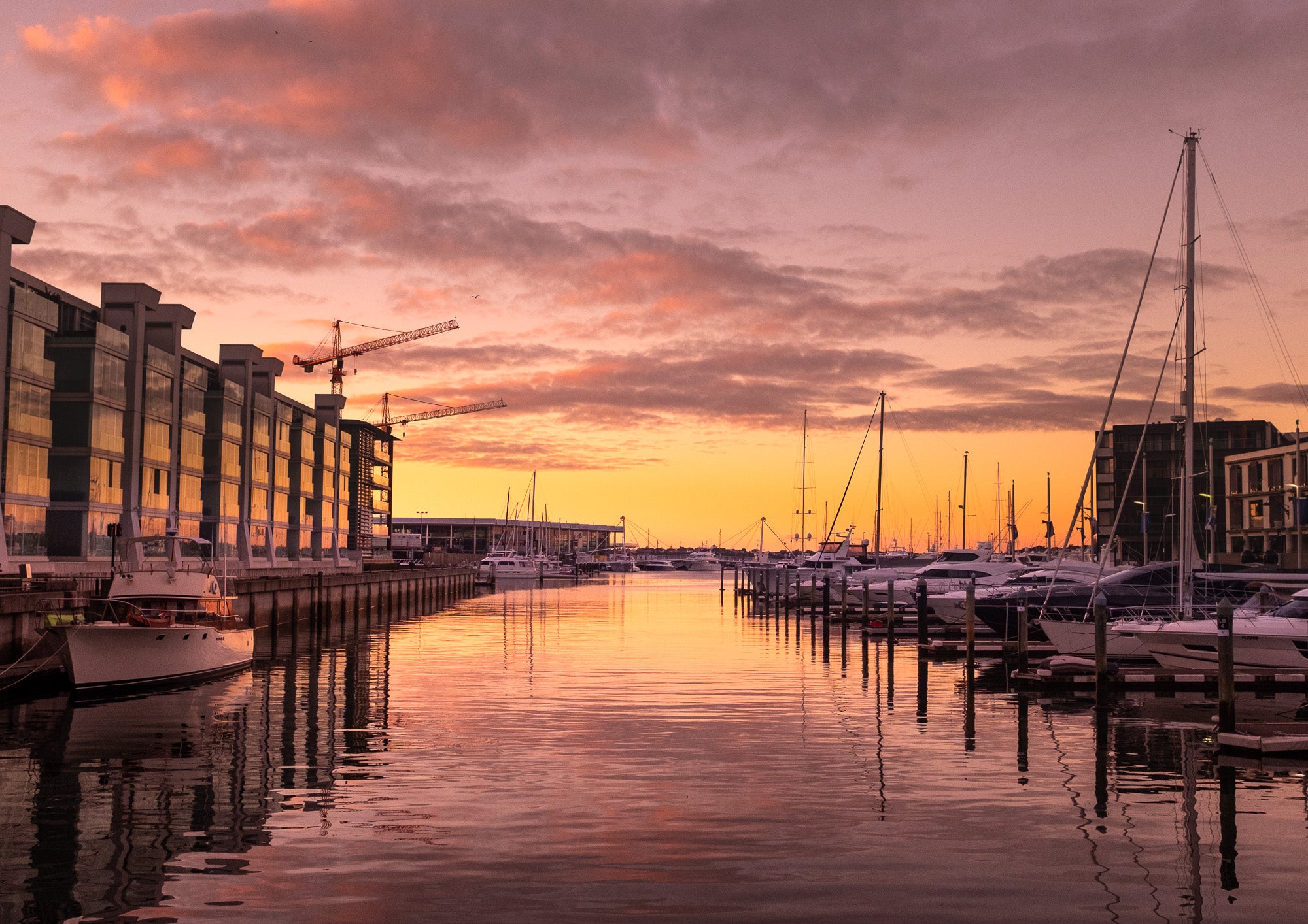 Before the City Wakes