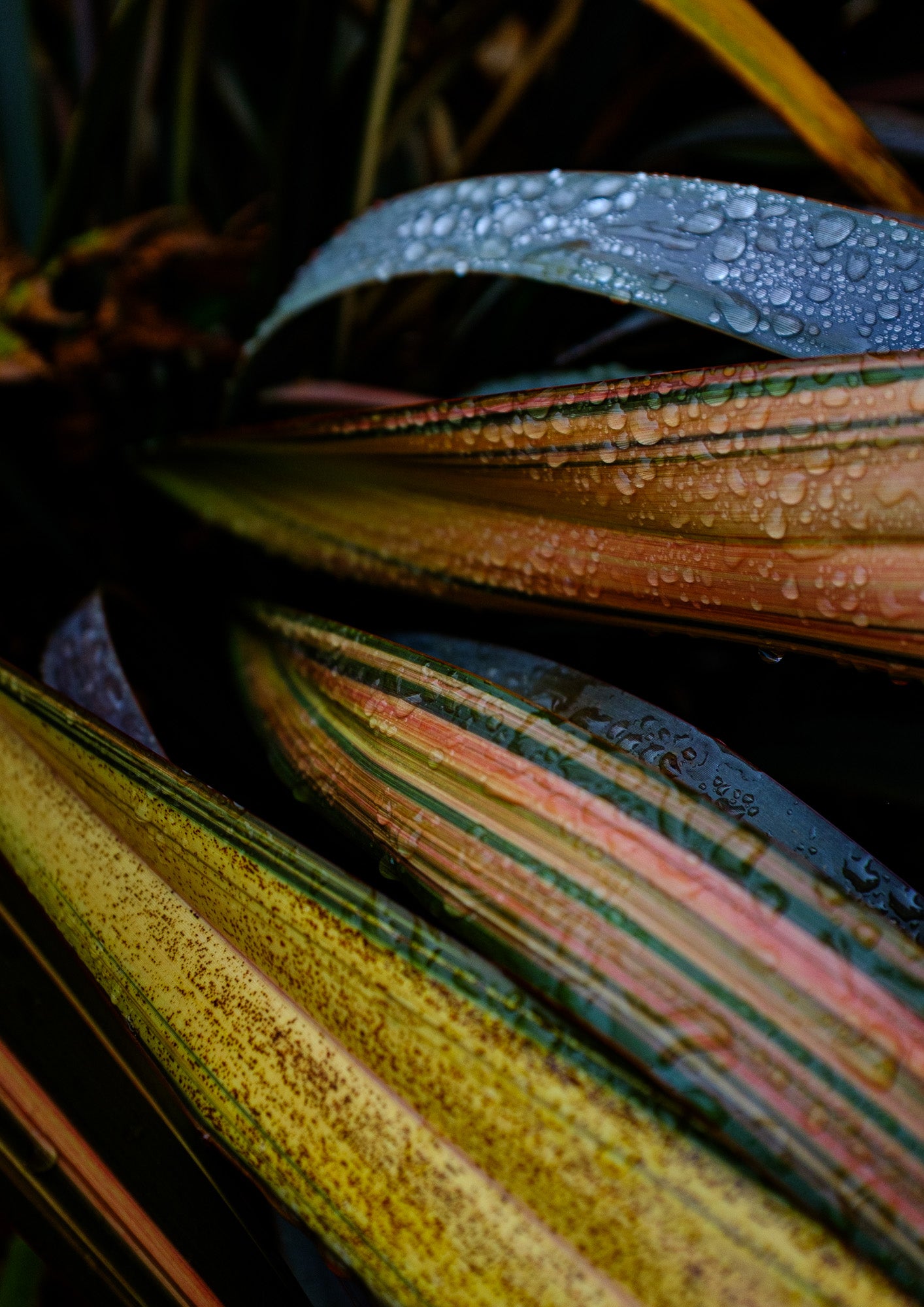 Garden Conversations