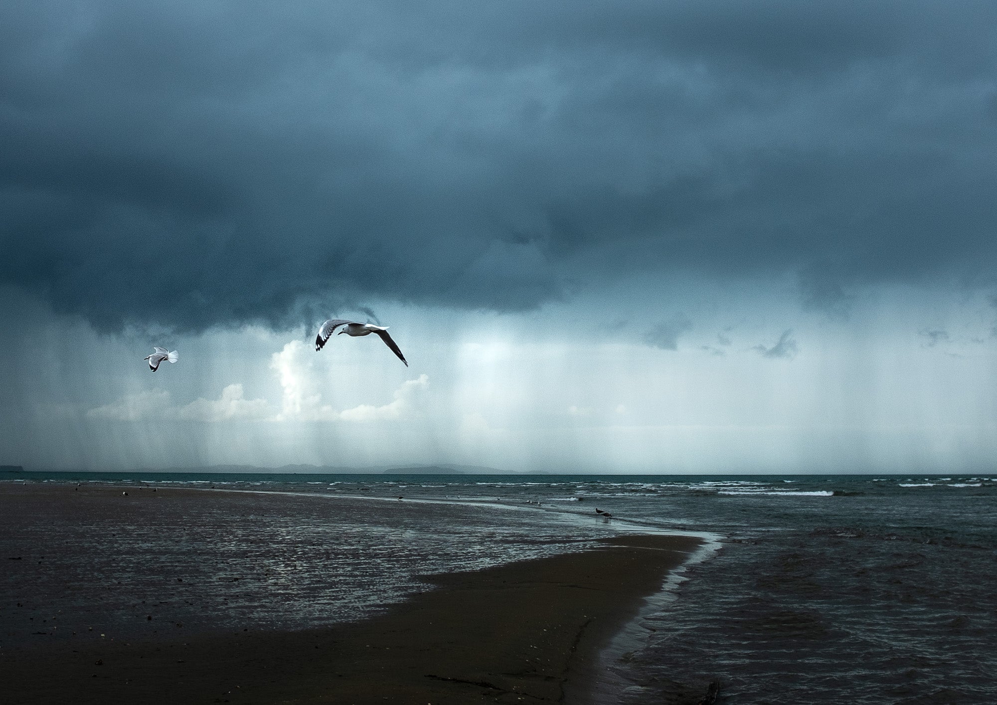 Before the Rain Reaches Us