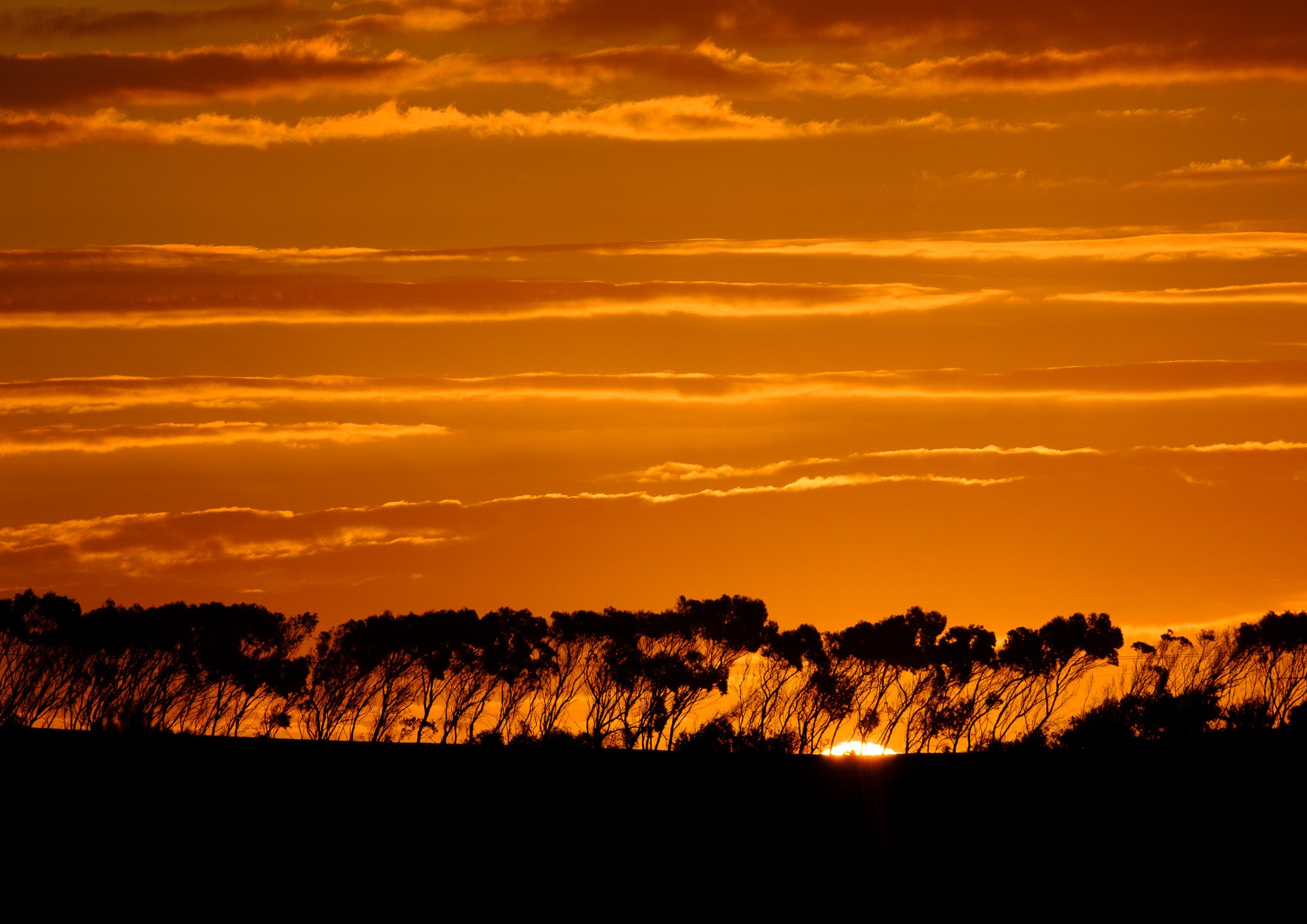 Waiheke Ridge at Sunset