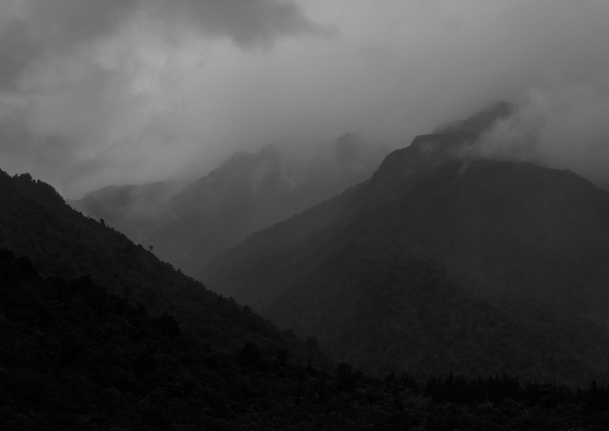 Mist Rising (Monochrome)