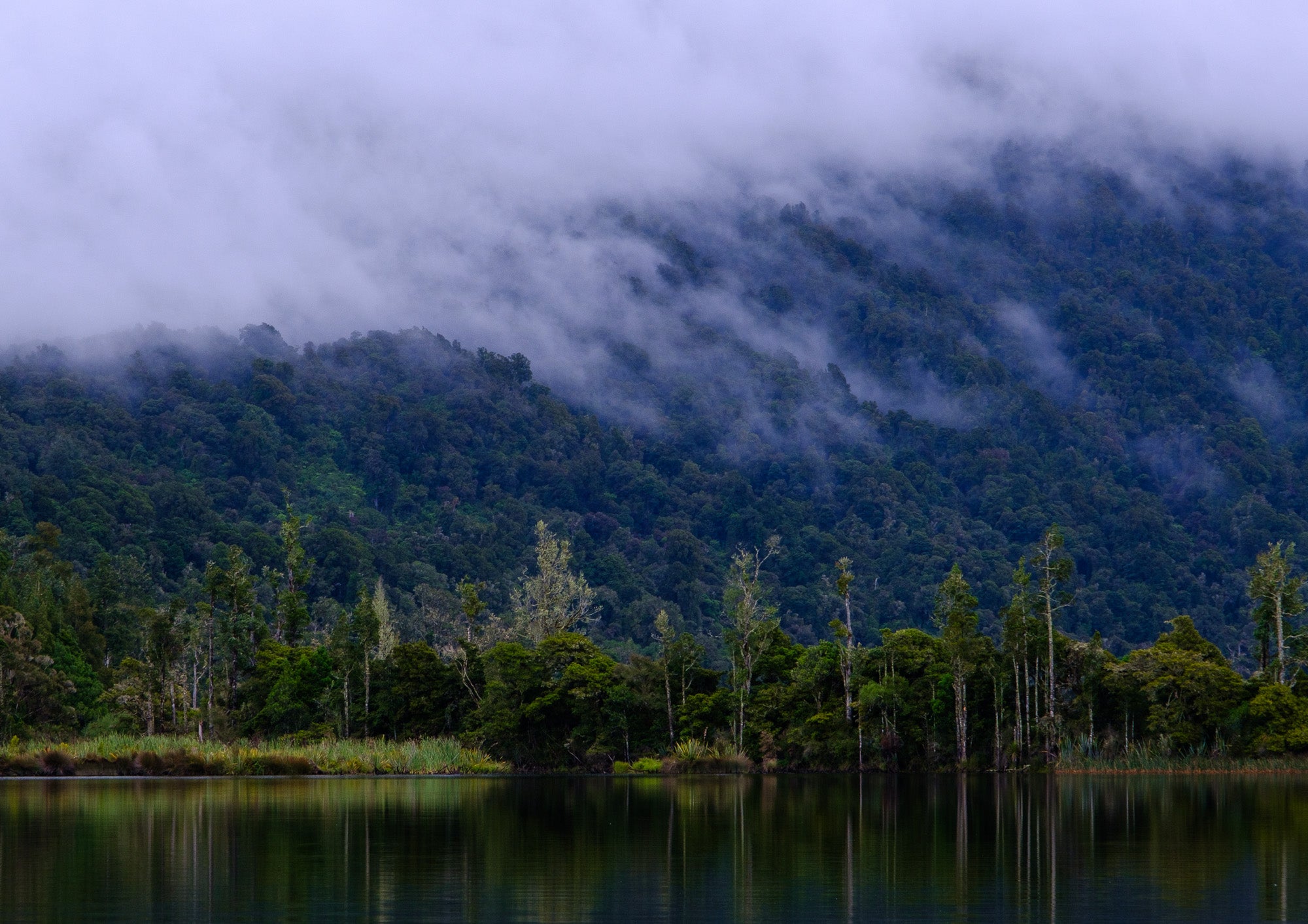 Mist Holding the Bay