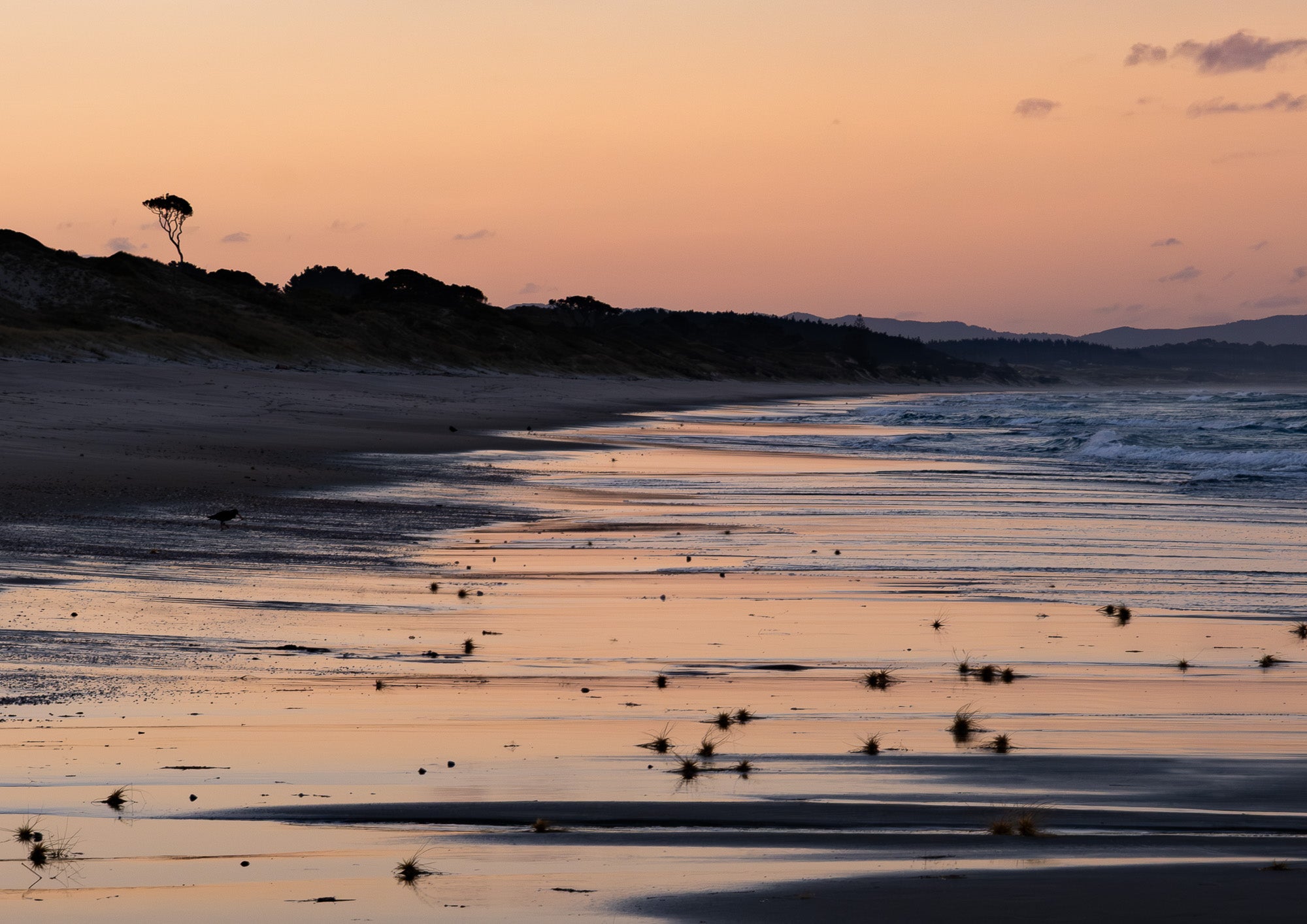 Where the Day Lets Go