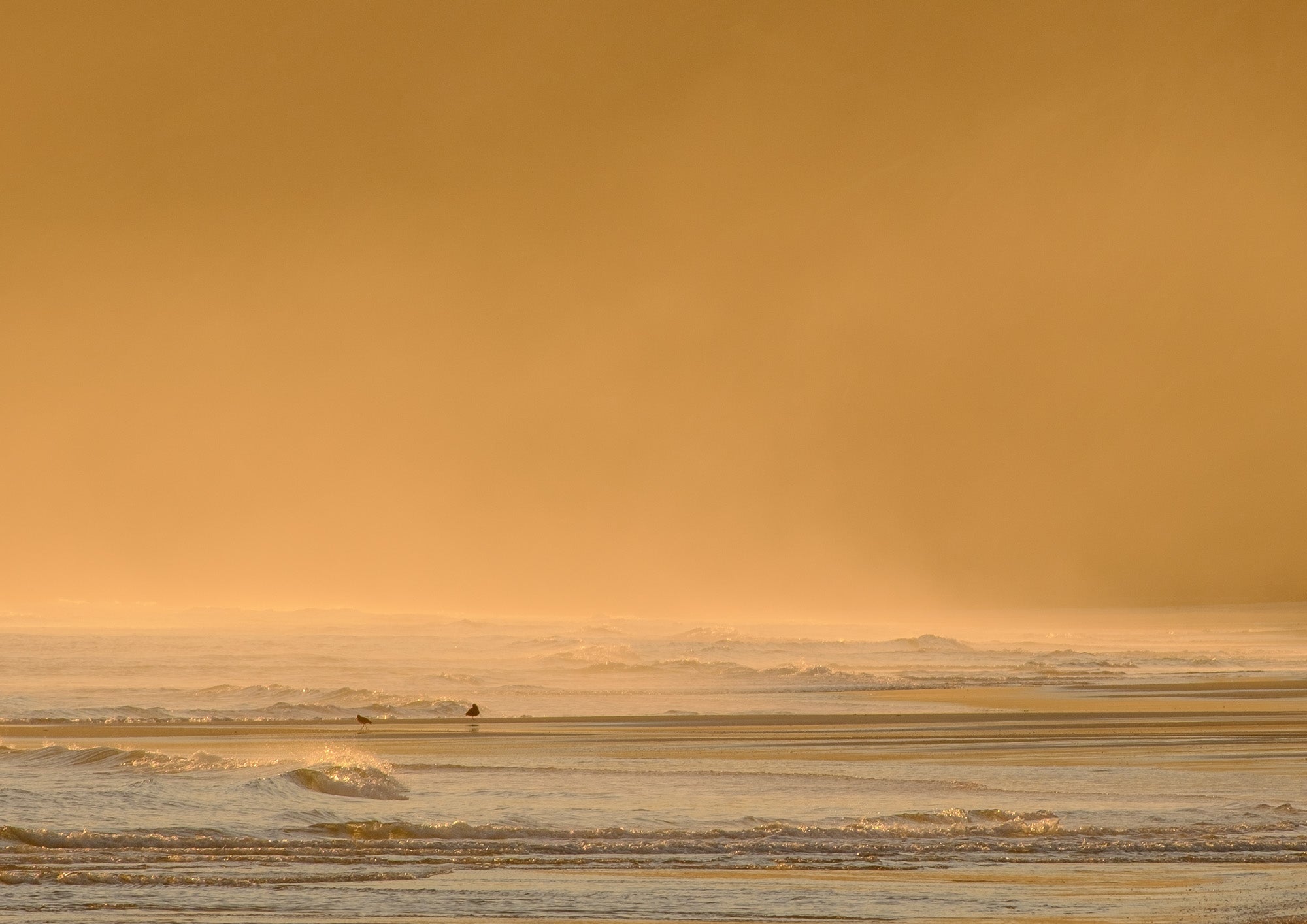 After the First Light