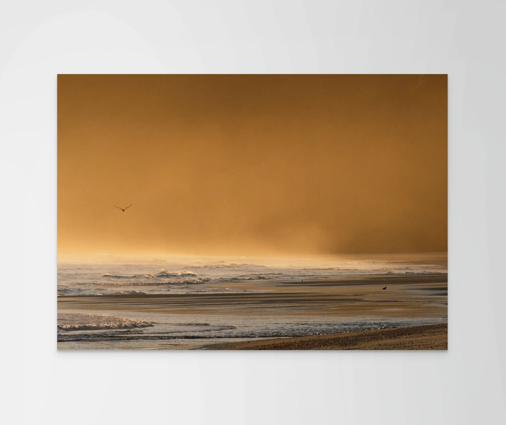 Mist & Motion