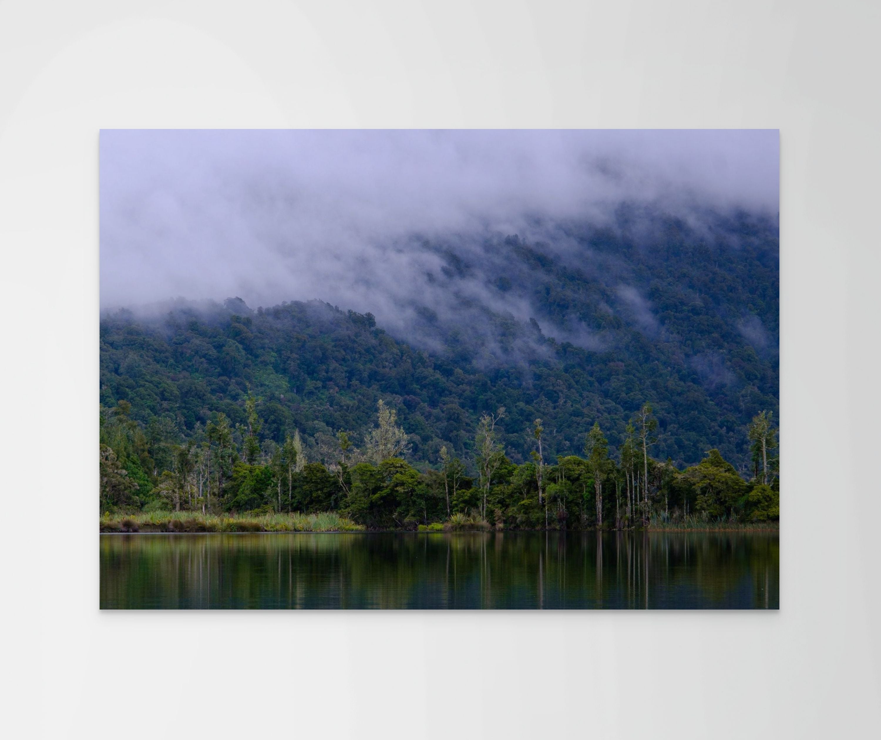 Mist Holding the Bay