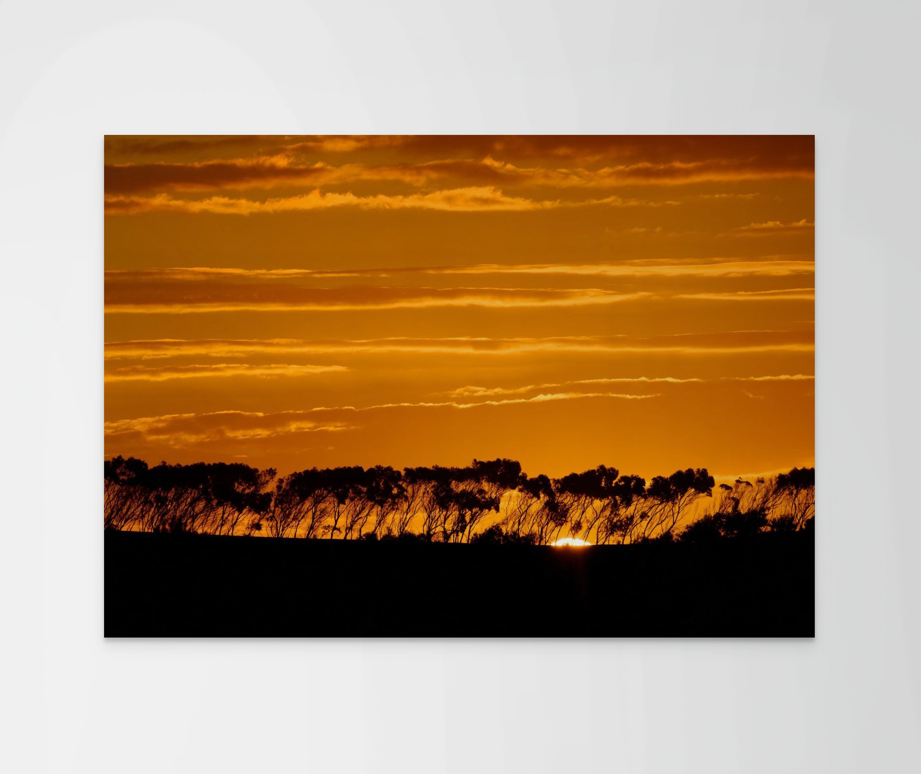 Waiheke Ridge at Sunset