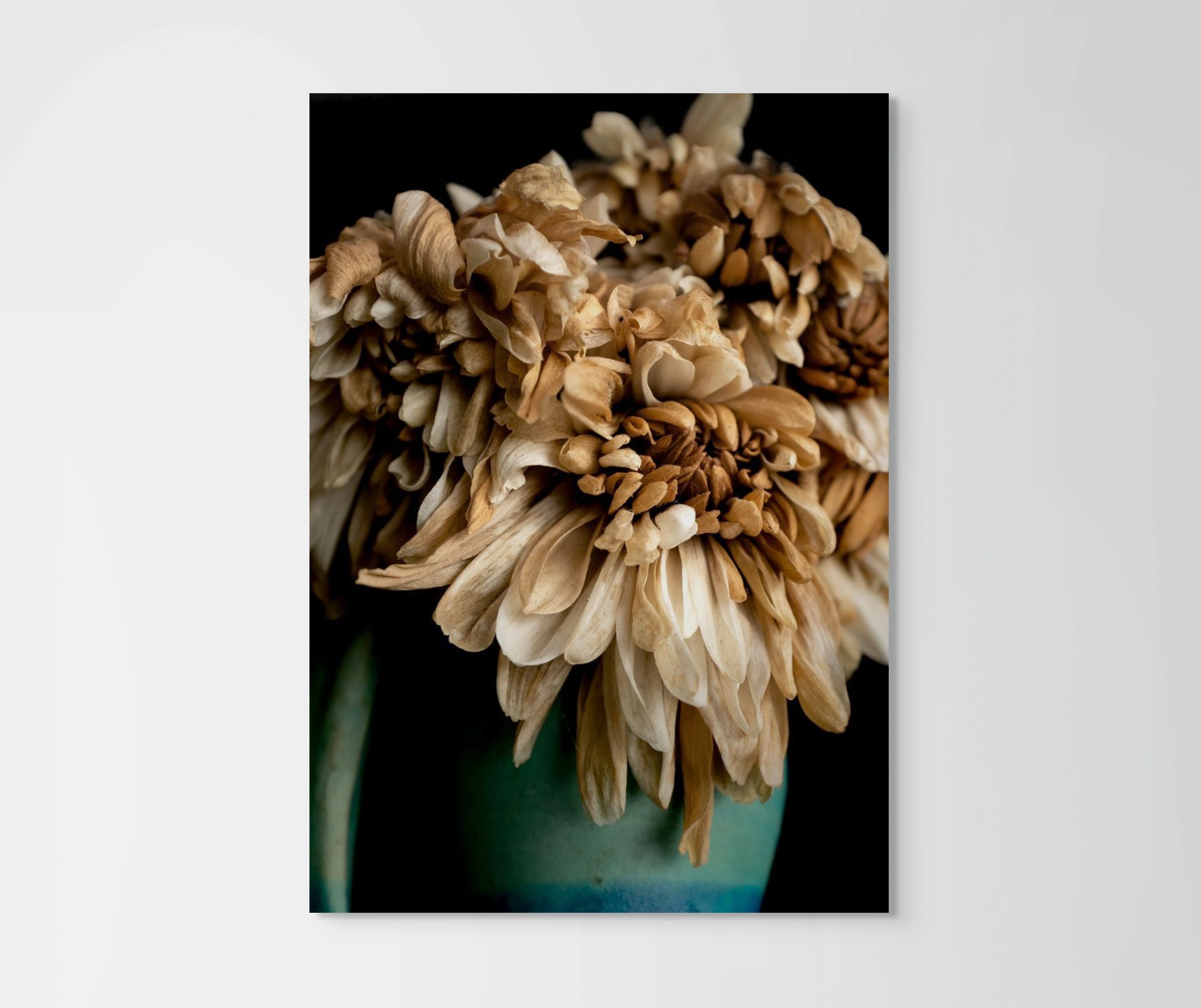 Last Light on Petals