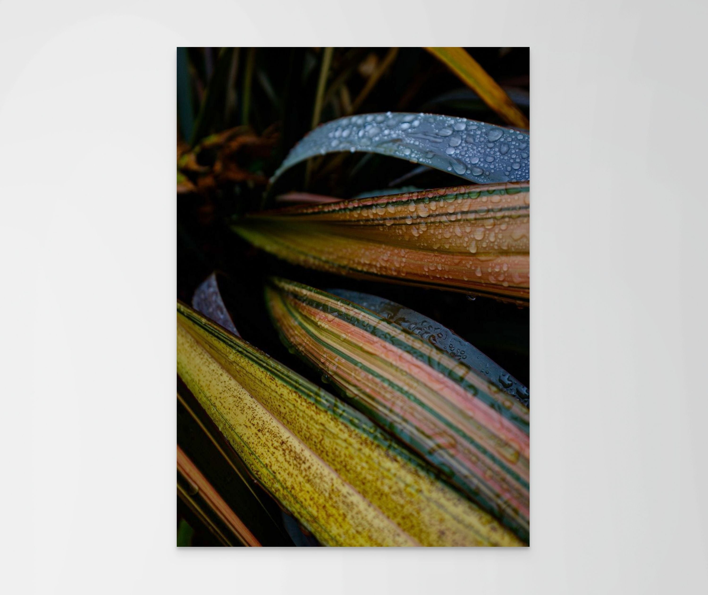 Garden Conversations