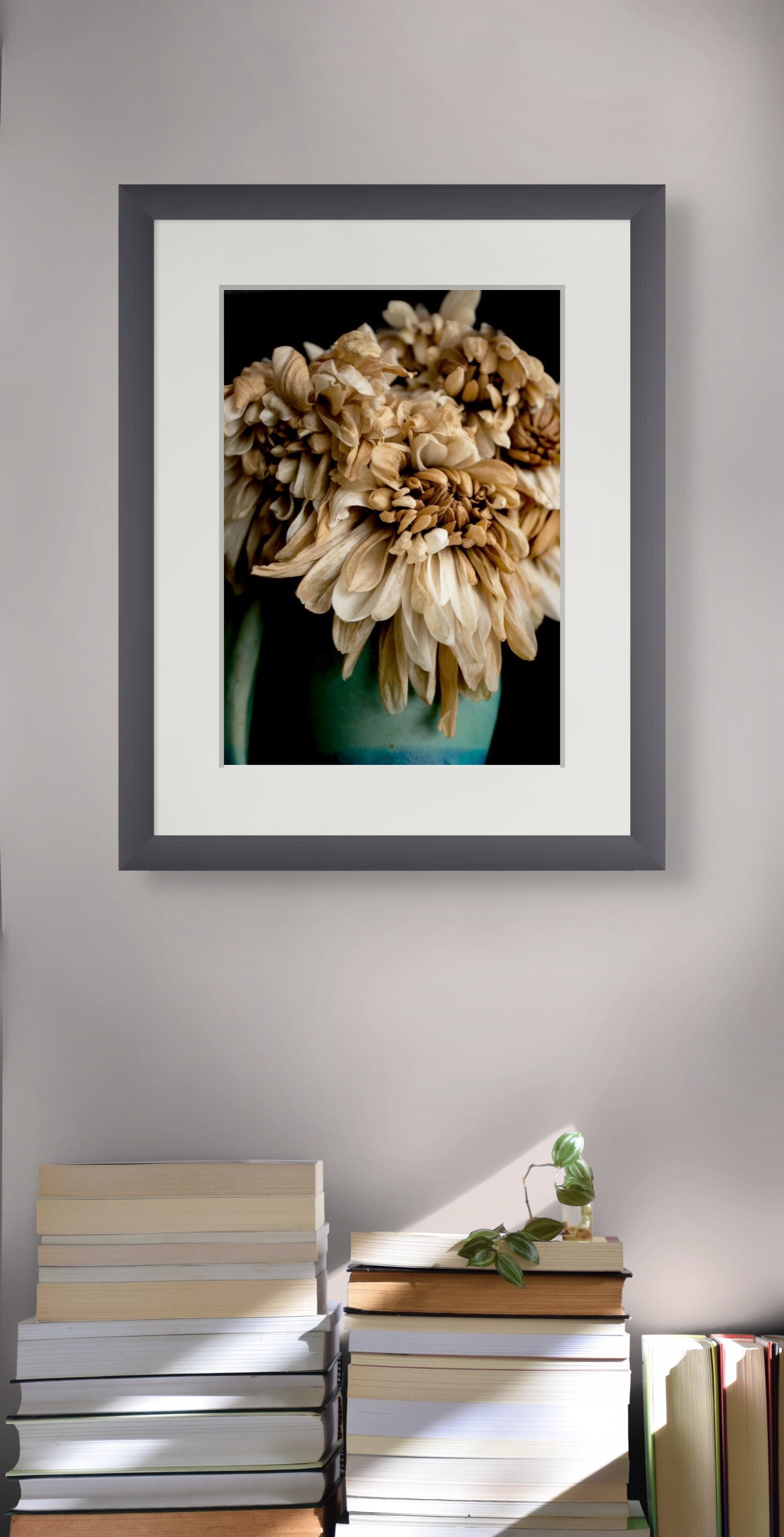 Last Light on Petals